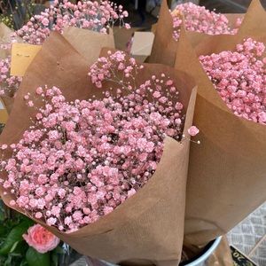 Meet your Posher, Hailey